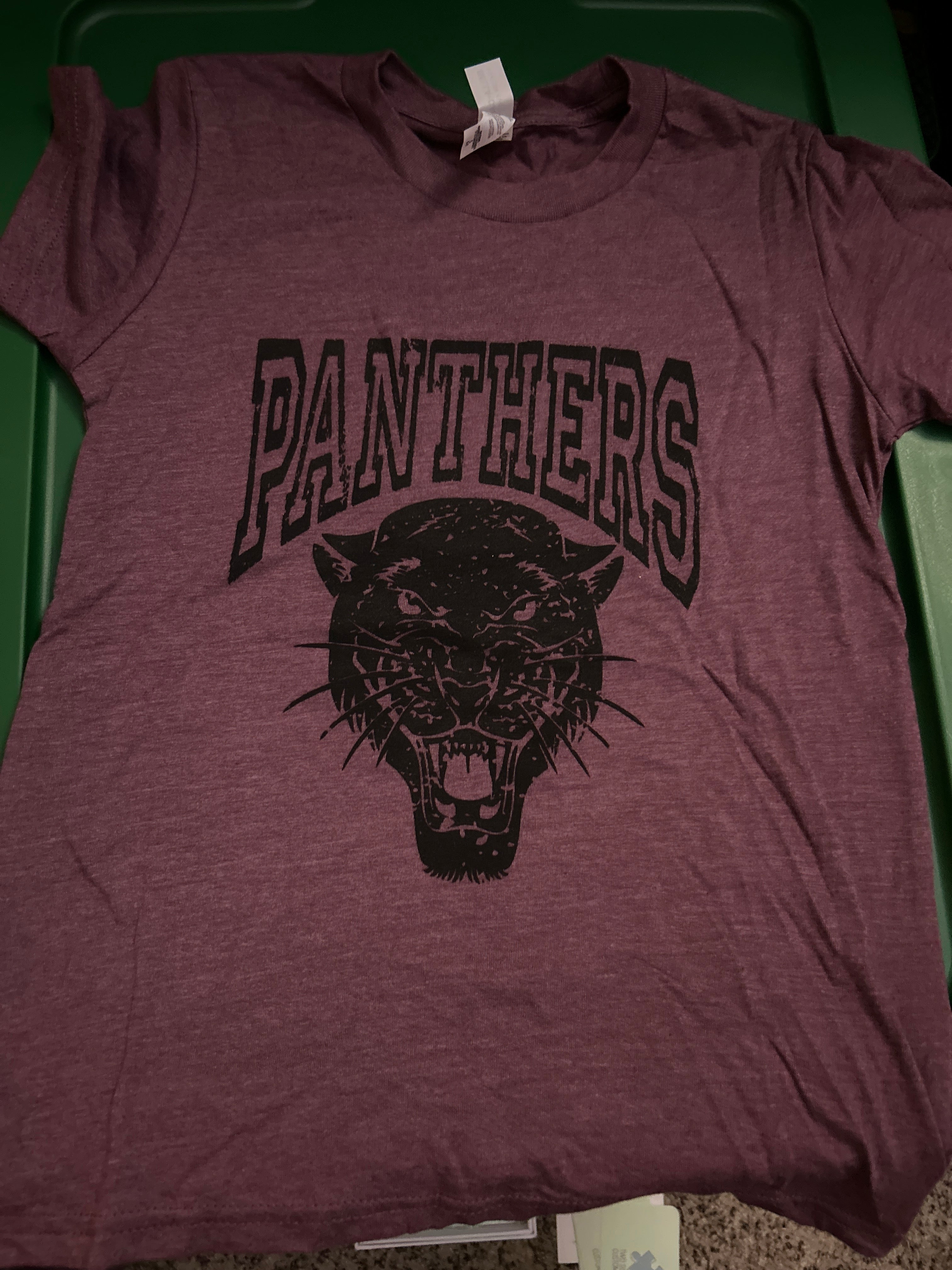 Panther Kids Pride T-Shirt
